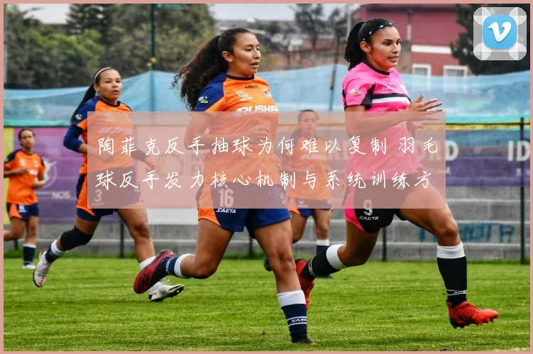 陶菲克反手抽球为何难以复制 羽毛球反手发力核心机制与系统训练方法