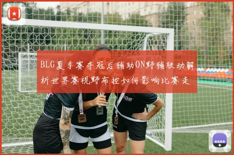 BLG夏季赛夺冠后辅助ON野辅联动解析世界赛视野布控如何影响比赛走向