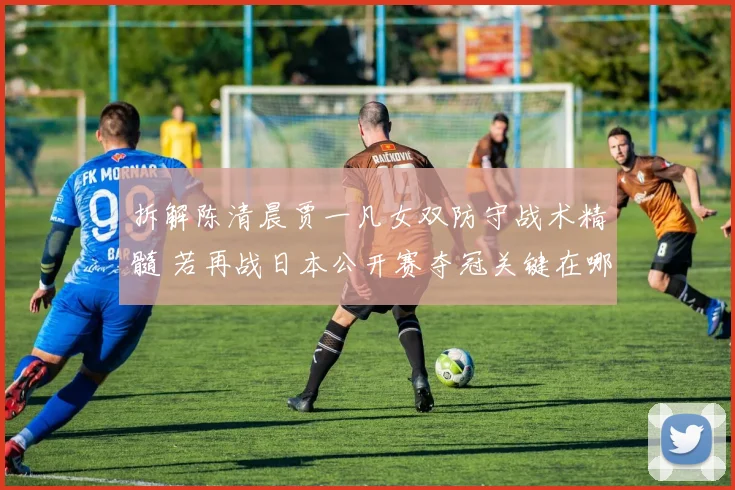 拆解陈清晨贾一凡女双防守战术精髓 若再战日本公开赛夺冠关键在哪