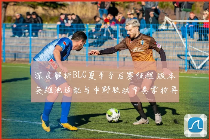 深度解析BLG夏季季后赛征程 版本英雄池适配与中野联动节奏掌控再评估