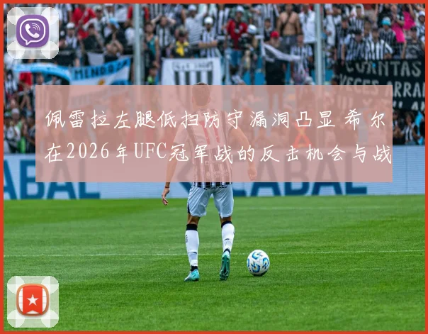 佩雷拉左腿低扫防守漏洞凸显 希尔在2026年UFC冠军战的反击机会与战术分析