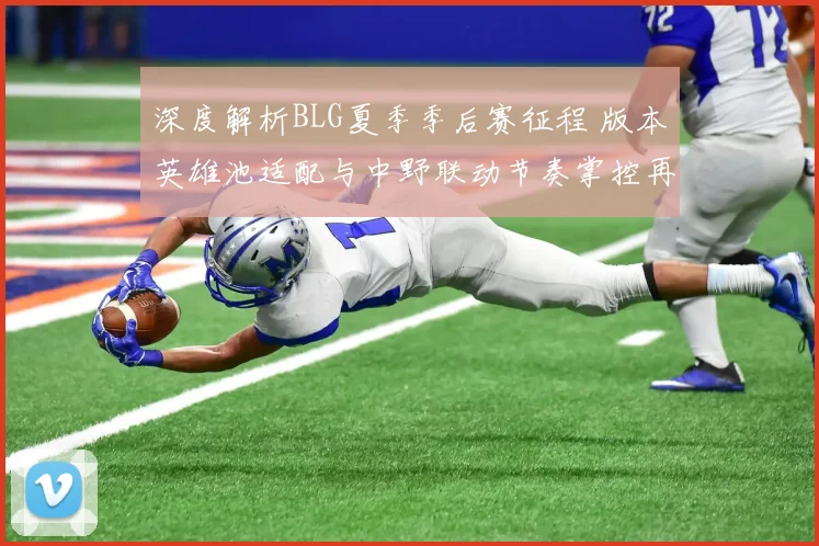 深度解析BLG夏季季后赛征程 版本英雄池适配与中野联动节奏掌控再评估